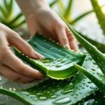 Benefits of Aloe Vera