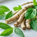 Benefits of Astragalus Root