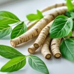 Benefits of Astragalus Root