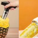 49 Top Essential Items